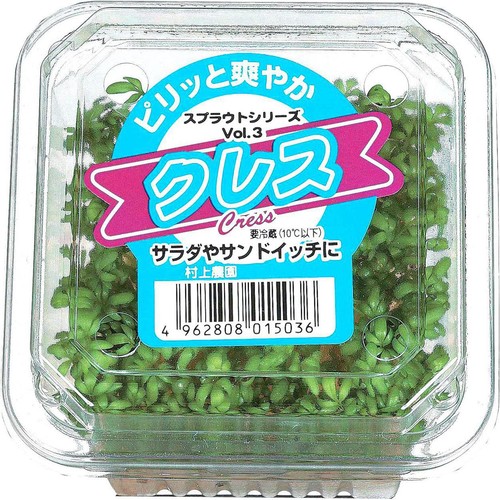 村上農園 クレス スプラウト 1パック Green Beans | グリーンビーンズ