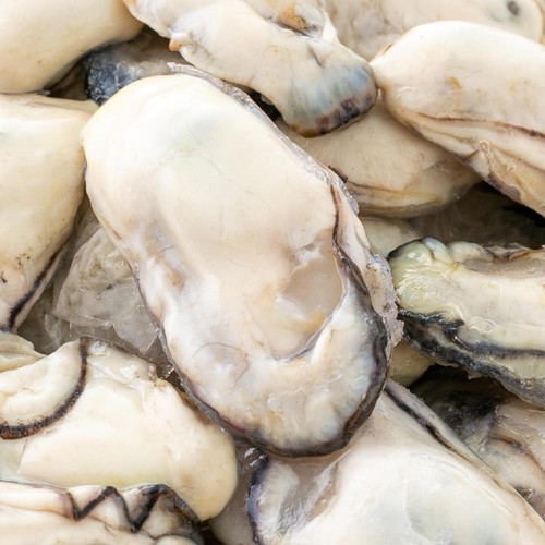 【冷凍】クニヒロ 広島県産 冷凍かき 2Lサイズ(加熱用) 850g