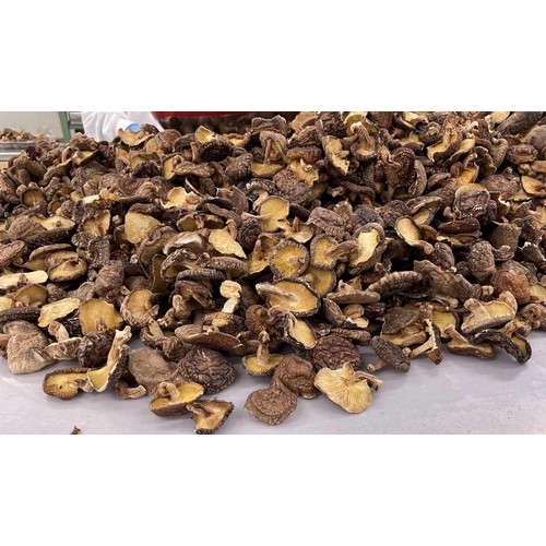 加藤産業 国産スライス椎茸(菌床) 15g