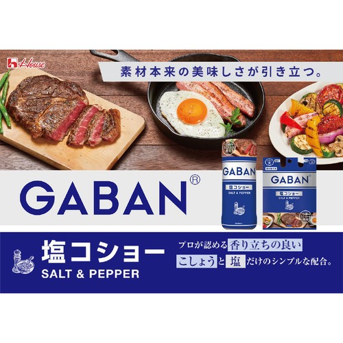 ハウス食品 GABAN ギャバン 塩コショー 120g