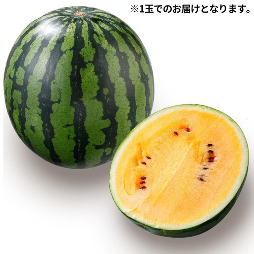 山形県産 心祝の金色羅皇 大玉すいか 4.5kg 1玉