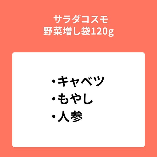 サラダコスモ 野菜増し袋 120g