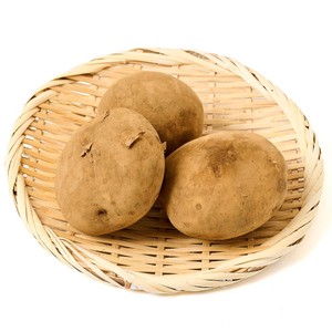 じゃがいも 有機】北海道産 じゃがいも 450g(3-4個) Green Beans | グリーン