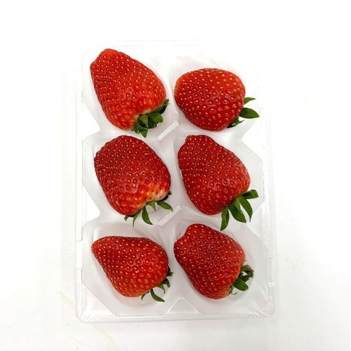 いちご いちご いちご① いちご 苺 Buy ZX 8000 'Strawberry Latte