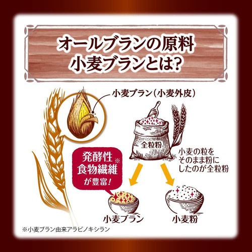 日本ケロッグ オールブランブランリッチショコラ 220g