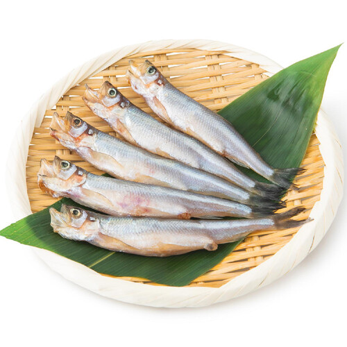 冷凍】北海道産 子持ち本ししゃも 5尾 Green Beans | グリーンビーンズ