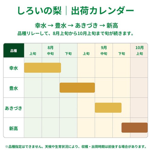 千葉県産 しろいのおすすめ梨 大玉 2個