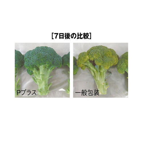 P-プラス くりかえしつかえる やさいエコバッグ S 5枚入 Green Beans