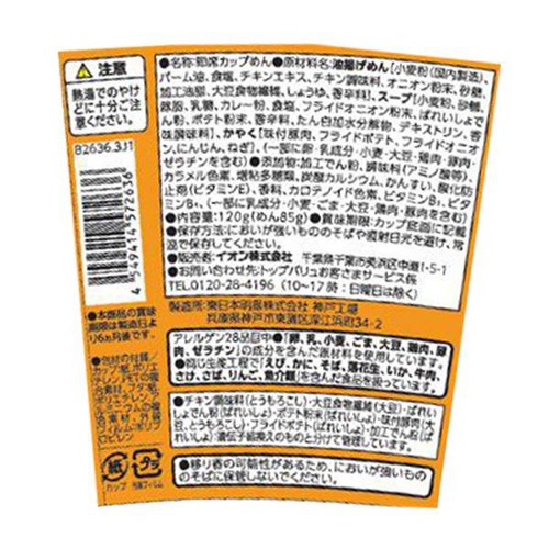 スパイシー カレーヌードルビッグ 120g トップバリュベストプライス