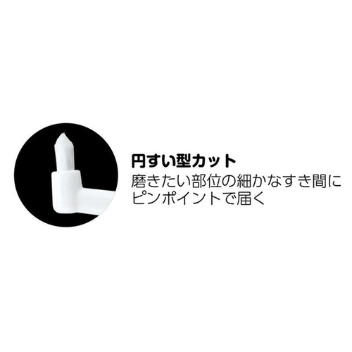 エビス ポイントブラシ ふつう 1本