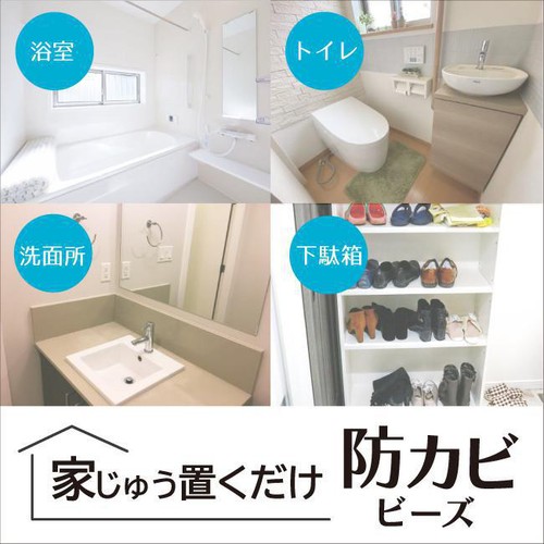 丹羽久 家じゅう置くだけ防カビビーズ 130g