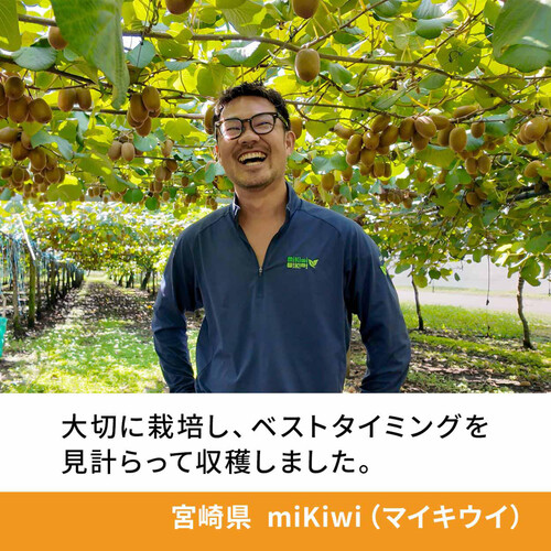 食べごろ+］宮崎県産 サンゴールドキウイフルーツ 小さめ 4個 280g