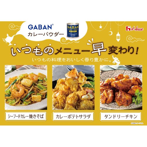 GABAN カレーパウダー缶 35g