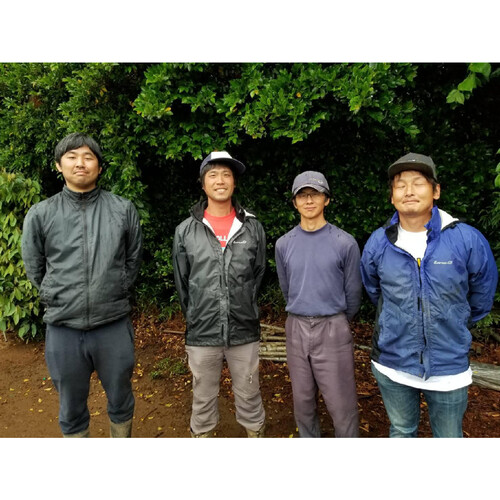 茨城県産栃食グループ ジャンボピーマン 160g(2-3個)