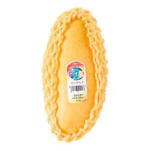 鹿児島県産 青パパイヤ 270g 1個 料理用 Green Beans | グリーン