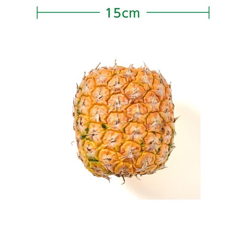 フィリピン産ミニグローパイン 900g 1個