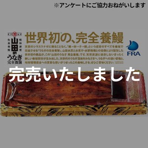冷凍】山田水産 鹿児島県産 完全養殖うなぎ蒲焼 大 1尾(151g)【数量