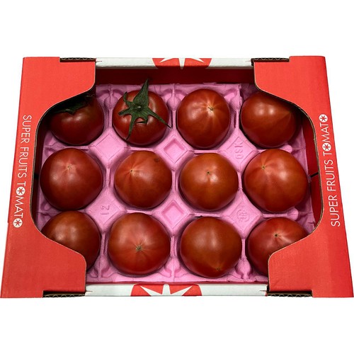 茨城県産 フルーツトマト 800g 1箱