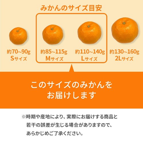 和歌山県産 ギュッと濃厚 吉田農園の有田三代みかん 10-12個 L-Mサイズ