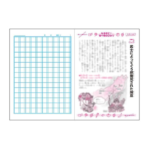 ショウワノート ジャポニカ学習帳 漢字練習150字 B5判 30枚