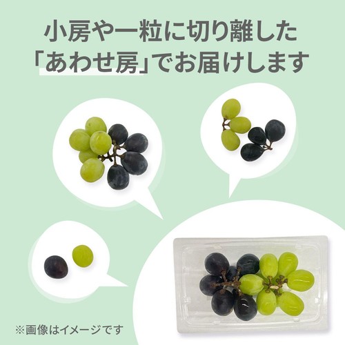 ［食べごろ+］長野県産 たけむらふぁーむのシャインマスカットとナガノパープル 250g