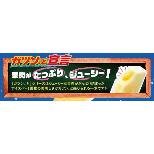 赤城乳業 ガツン、とグレープフルーツ 95ml