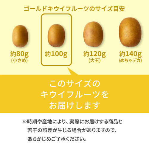 ［食べごろ+］【有機】ニュージーランド産ゼスプリ サンゴールドキウイフルーツ 9個 900g