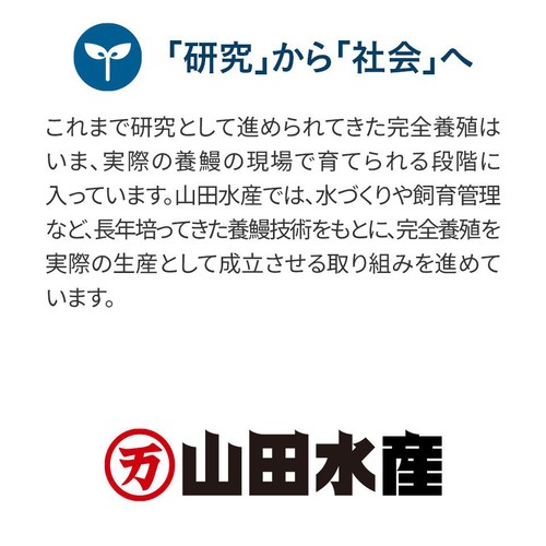 【冷凍】山田水産 鹿児島県産 完全養殖うなぎ蒲焼 特大 1尾(204g)【数量限定 25点】