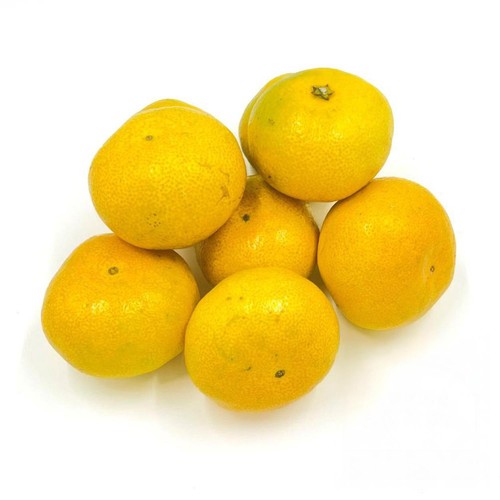 熊本県産 味咲の早出しみかん 8-10個 550g  S-2Sサイズ 1パック