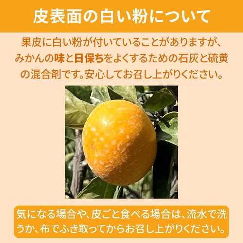 熊本県産 味咲の早出しみかん S-3Sサイズ 550g