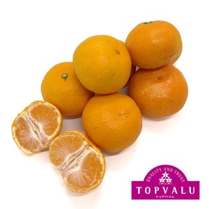 愛媛県産真穴地区 こつぶみかん 600g 1パック トップバリュ Green