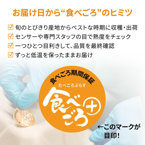 ［食べごろ+］【有機】ニュージーランド産ゼスプリ グリーンキウイフルーツ 4個 400g