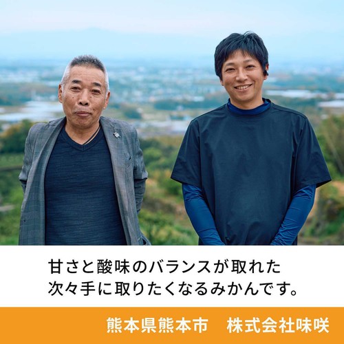 熊本県産 味咲の早出しみかん 8-10個 550g  S-2Sサイズ 1パック