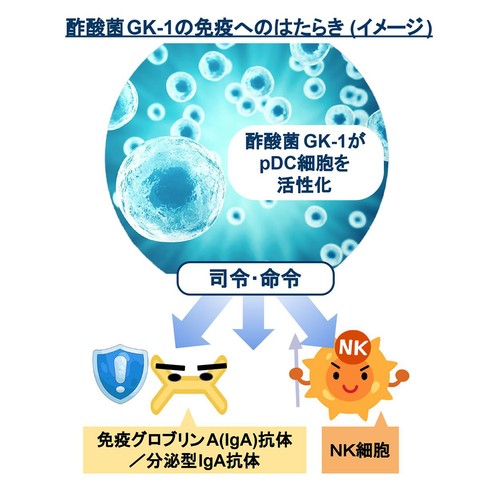デリア食品 ポテトサラダで免疫ケア 1パック(120g)