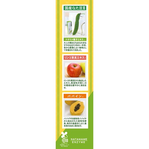 三和通商 なた豆 すっきり酵素歯磨き粉 140g