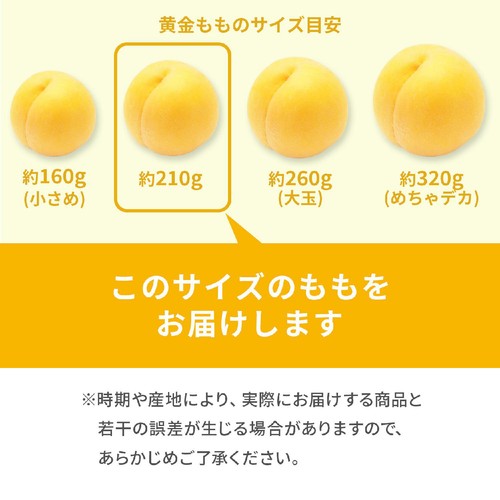 国内産 黄金桃 2個