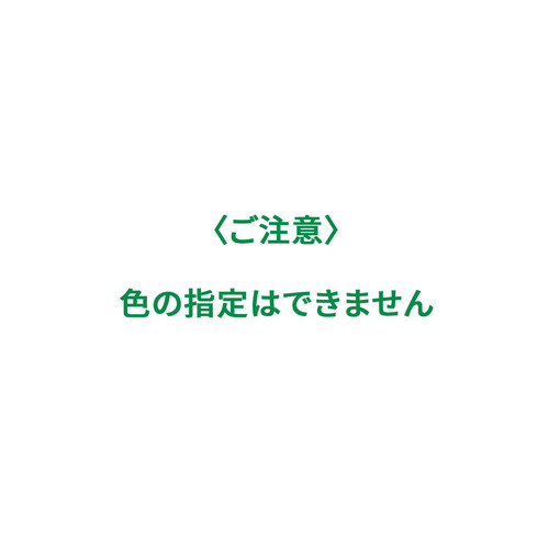 サンスター オーラツーミー スパイラルキャッチ ふつう 1本