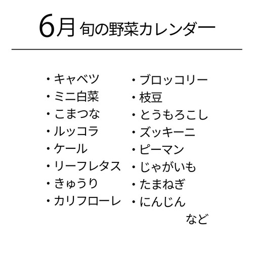 千葉県産 柴海農園 おまかせ野菜セット 6種類 1セット