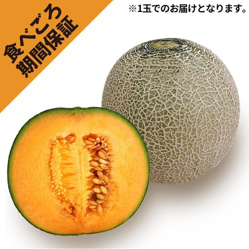 食べごろ+] 茨城県産 糖度の見えるメロン(クインシー) 900g 1個 Green