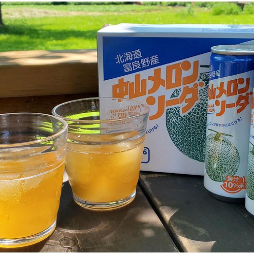 メロンソーダ Amazon.co.jp: メロンソーダセット（ソーダ水付） : 食品・飲料