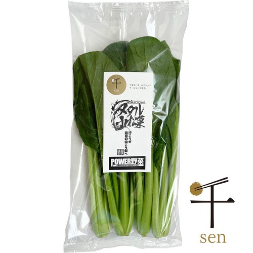 千葉県千葉市 メタル小松菜 250g