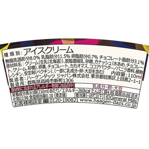 ハーゲンダッツ ミニカップ ガナッシュショコラ 110ml