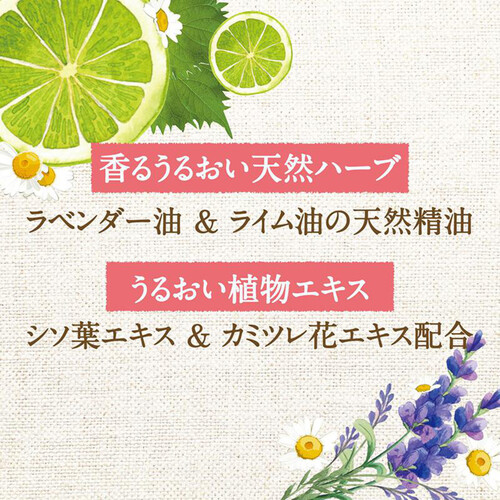 【お取り寄せ商品】 サラヤ アラウ 泡せっけんシャンプー本体 500mL