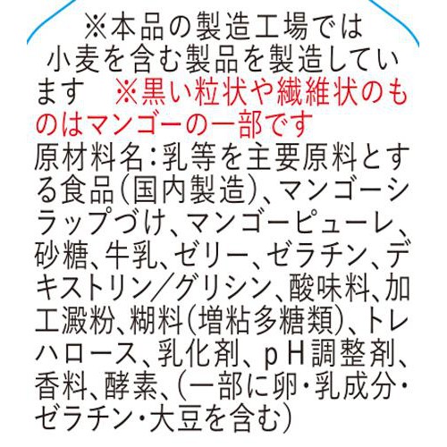 ドンレミー ごちそう果実 濃厚マンゴープリン 1個