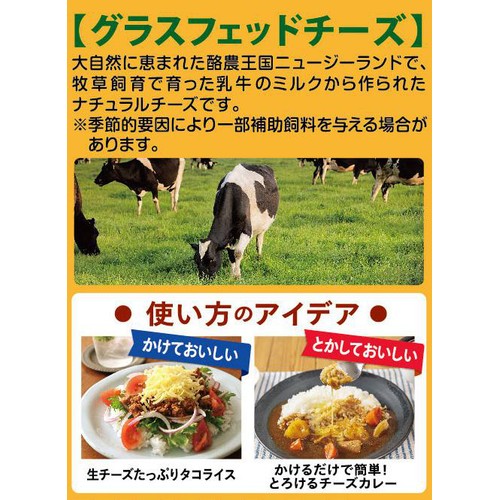 森永乳業 クラフト かける生チーズ 100g