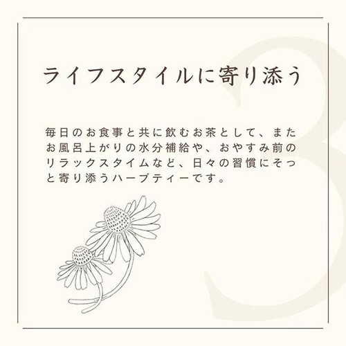 生活の木 私の30日茶 温巡ジンジャーブレンド  30個入
