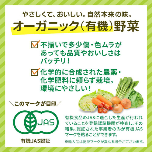 有機】国内産 長ねぎ 2-4本 1袋 Green Beans | グリーンビーンズ by AEON