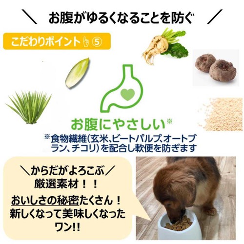 【ペット用】 アース・ペット ファーストチョイス ChoiceS アレルゲンケアに 高齢犬7歳以上 2.4kg