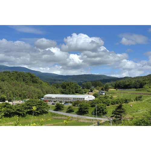 【福島県】 人気酒造 人気一 オーガニック瓶内発酵 スパークリング純米吟醸 300ml