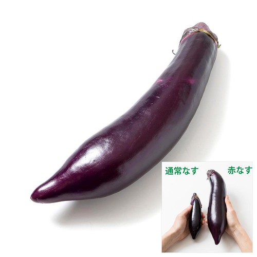 なす 熊本県産 トロッと赤なす 1本 Green Beans | グリーンビーンズ by AEON